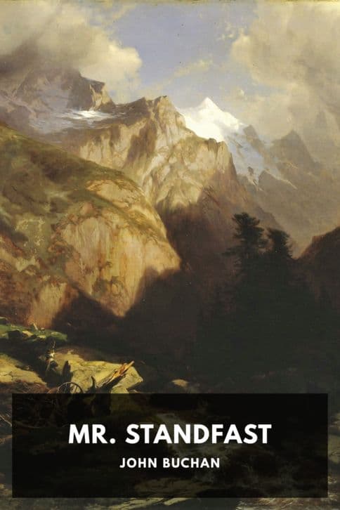 Cover of Mr Standfast
