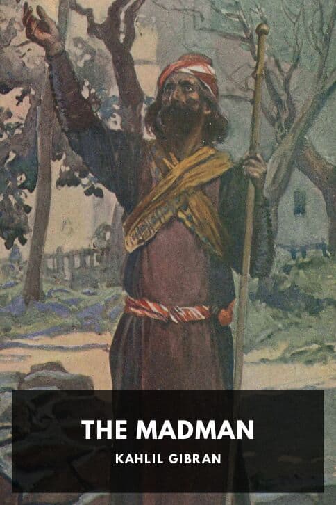 Cover of The Madman